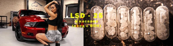 PSILOCYBIN Балабаново