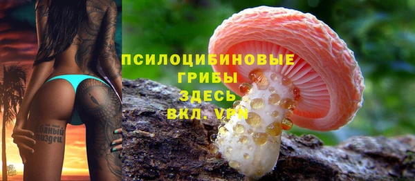 ECSTASY Балахна