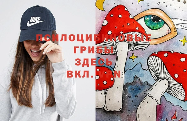ECSTASY Балахна